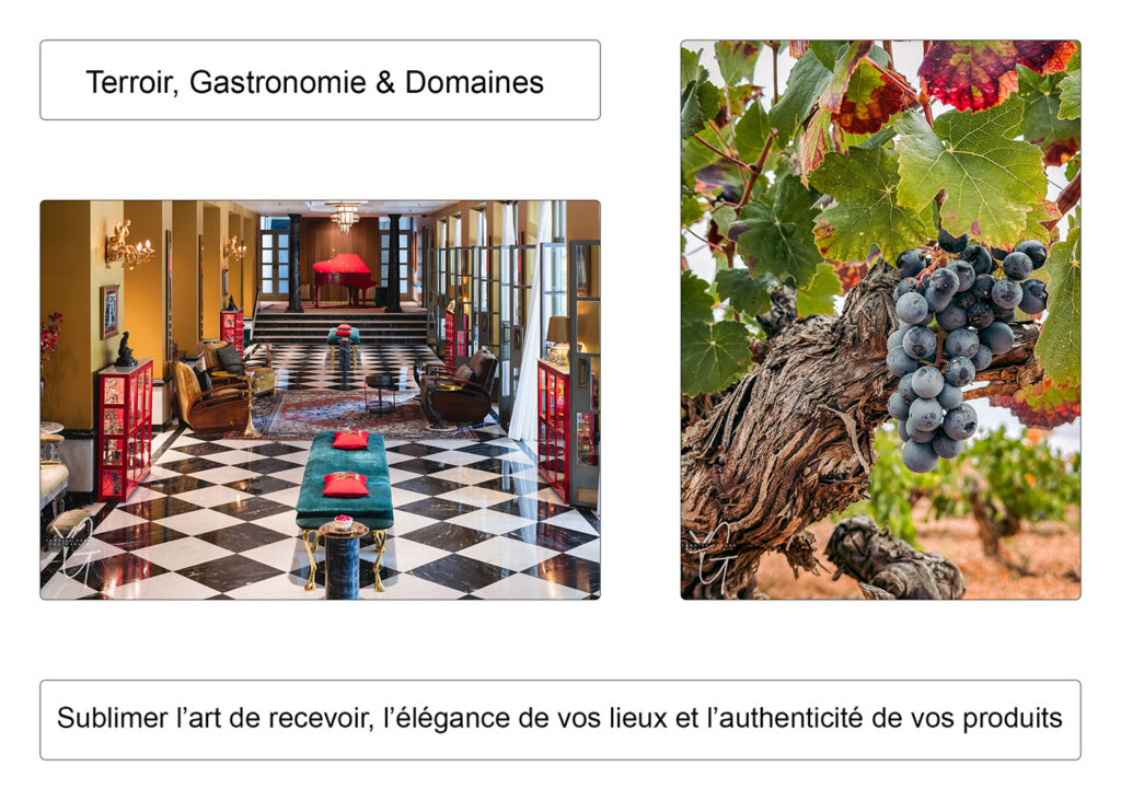 Espace de réception d'un établissement hôtelier de prestige et rang de vigne d'un vignoble dans le Gard