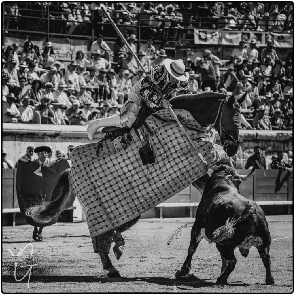 Picador à cheval qui donne le coup de pique au toro brave dans les arènes de Beziers