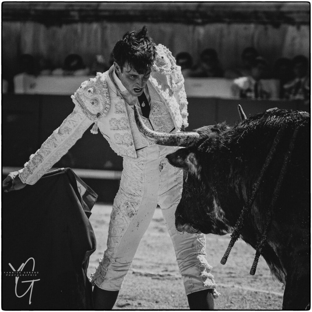 torero Tibo Garcia face à un toro de Robert Margé dans les arènes de Nîmes lors de la féria de Pentecôte.