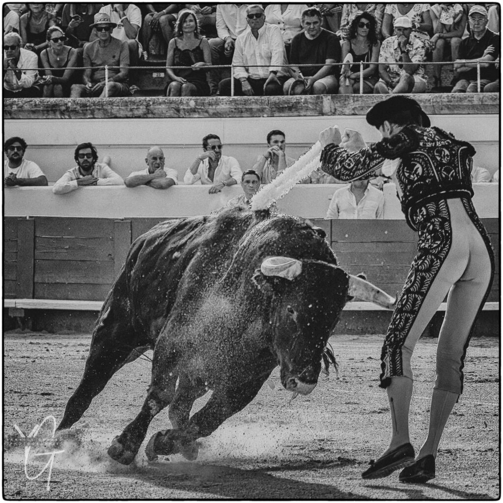 banderillero plante deux banderilles sur un toro lors d'une corrida