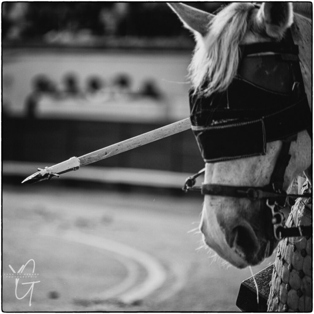 Détail de la tête du cheval de picador et de la pique dans les arènes de Béziers lors de la Feria 2025