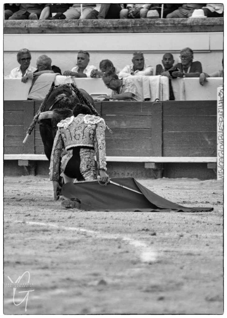 Carlos Olsina à genoux face au toro dans le ruedo des arènes de Béziers lors de la Feria 2025