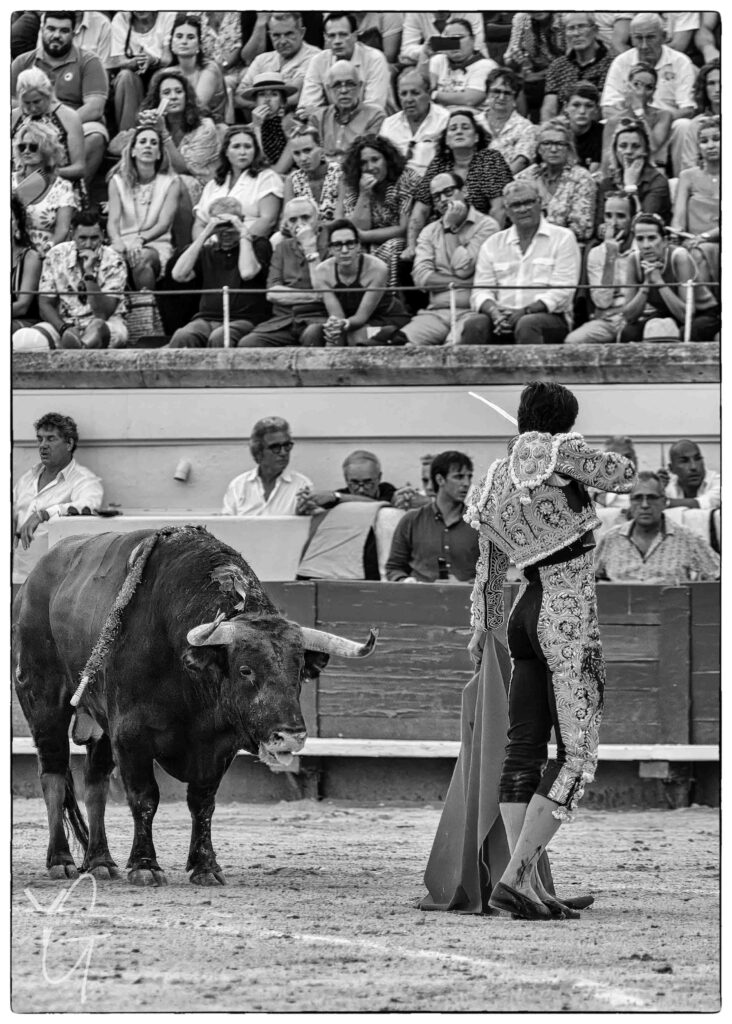 Carlos Olsina prépare la mise à mort face au toro avant de porter l’estocade dans les arènes de Béziers