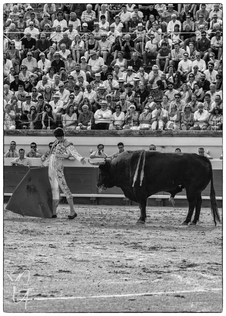 Face-à-face entre Sébastien Castella et le toro dans les arènes de Béziers