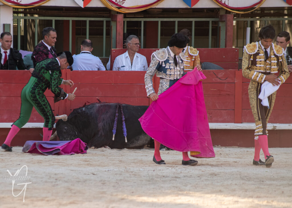 le torero El Rafi se blesse à la main lors de la corrida de Vauvert