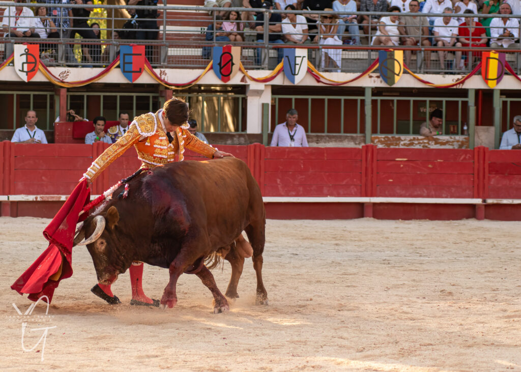 le torero El Rafi