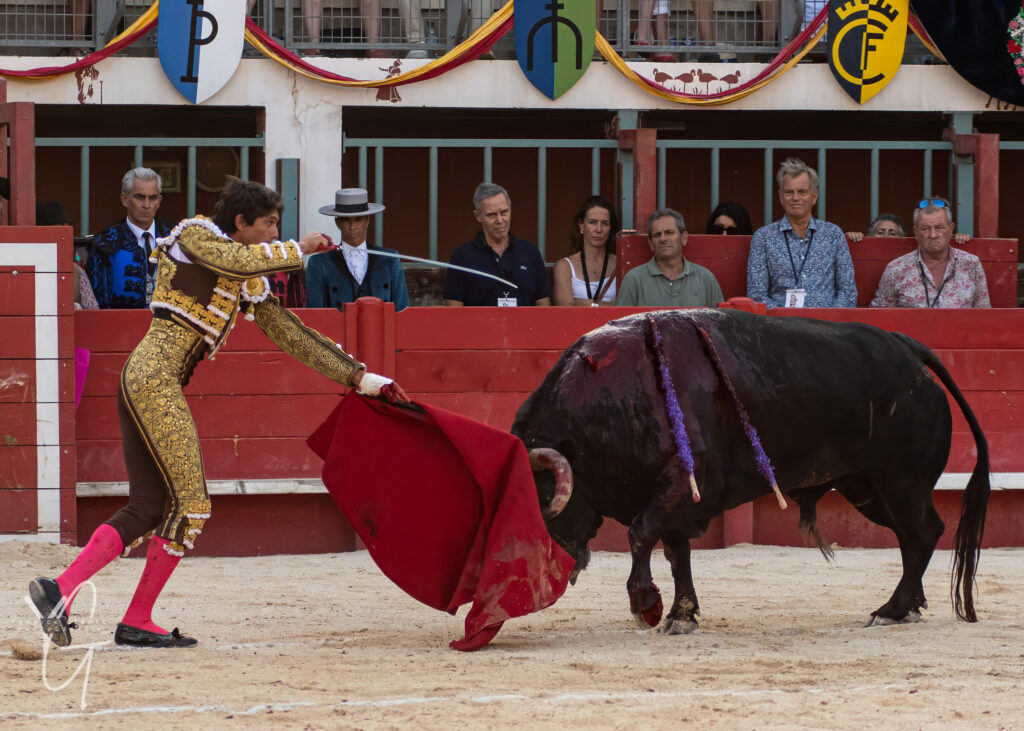 le torero Castella lance l'estocade