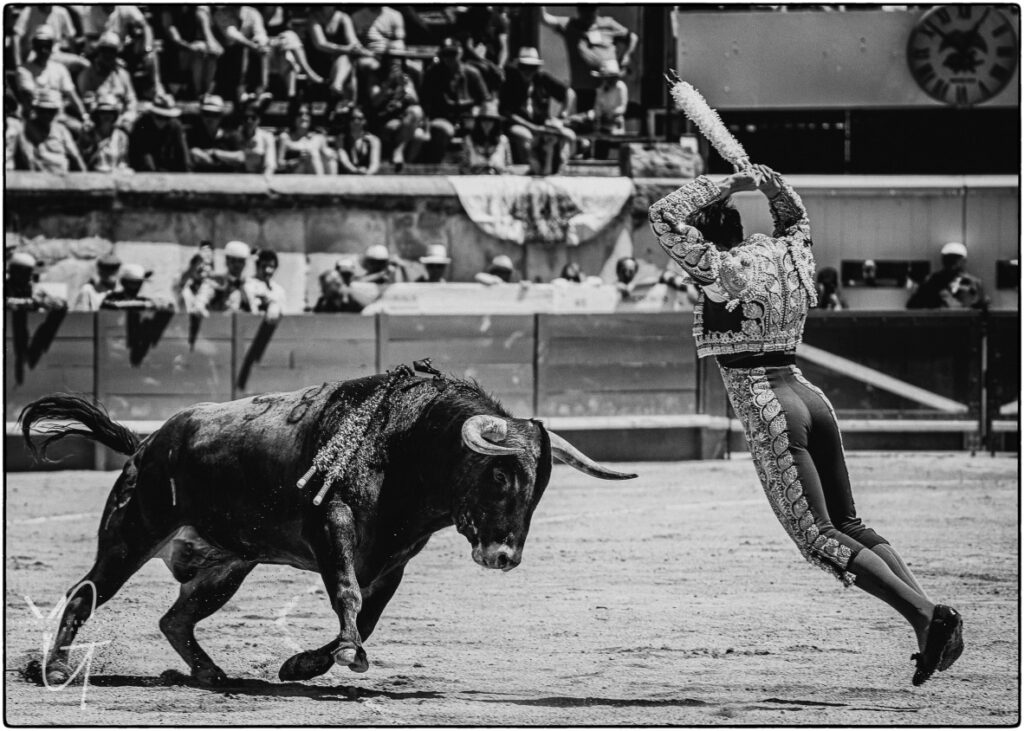 toro de la ganaderia robert Marge charge le banderillero